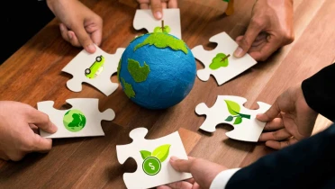 Principios de la sostenibilidad empresarial