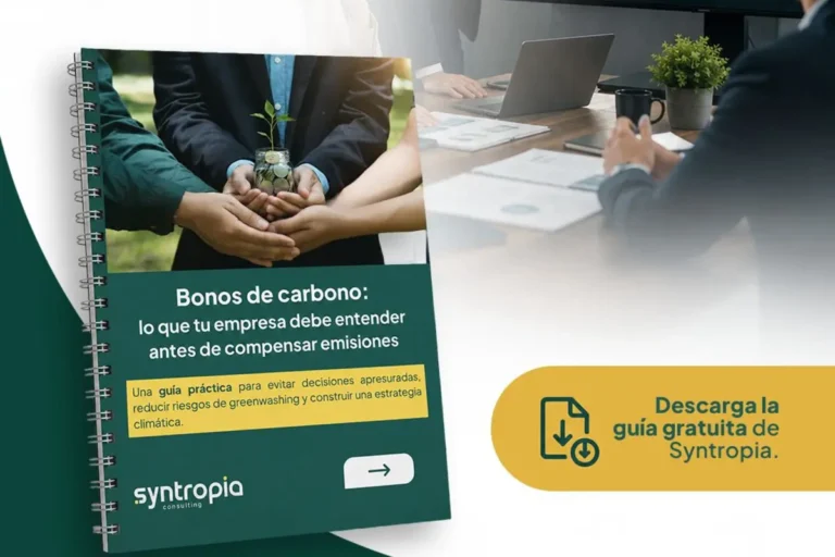 Guía de Syntropia Consulting sobre bonos de carbono y riesgos de greenwashing antes de compensar emisiones